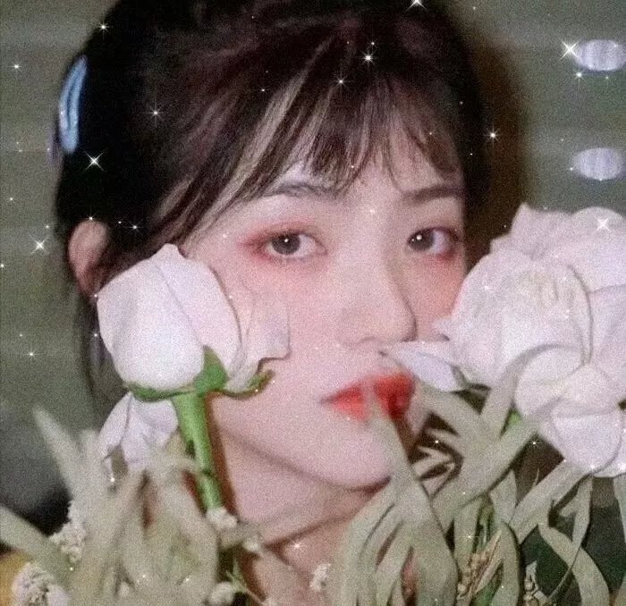 茶花女遗事